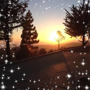 Meet your Posher, Janice